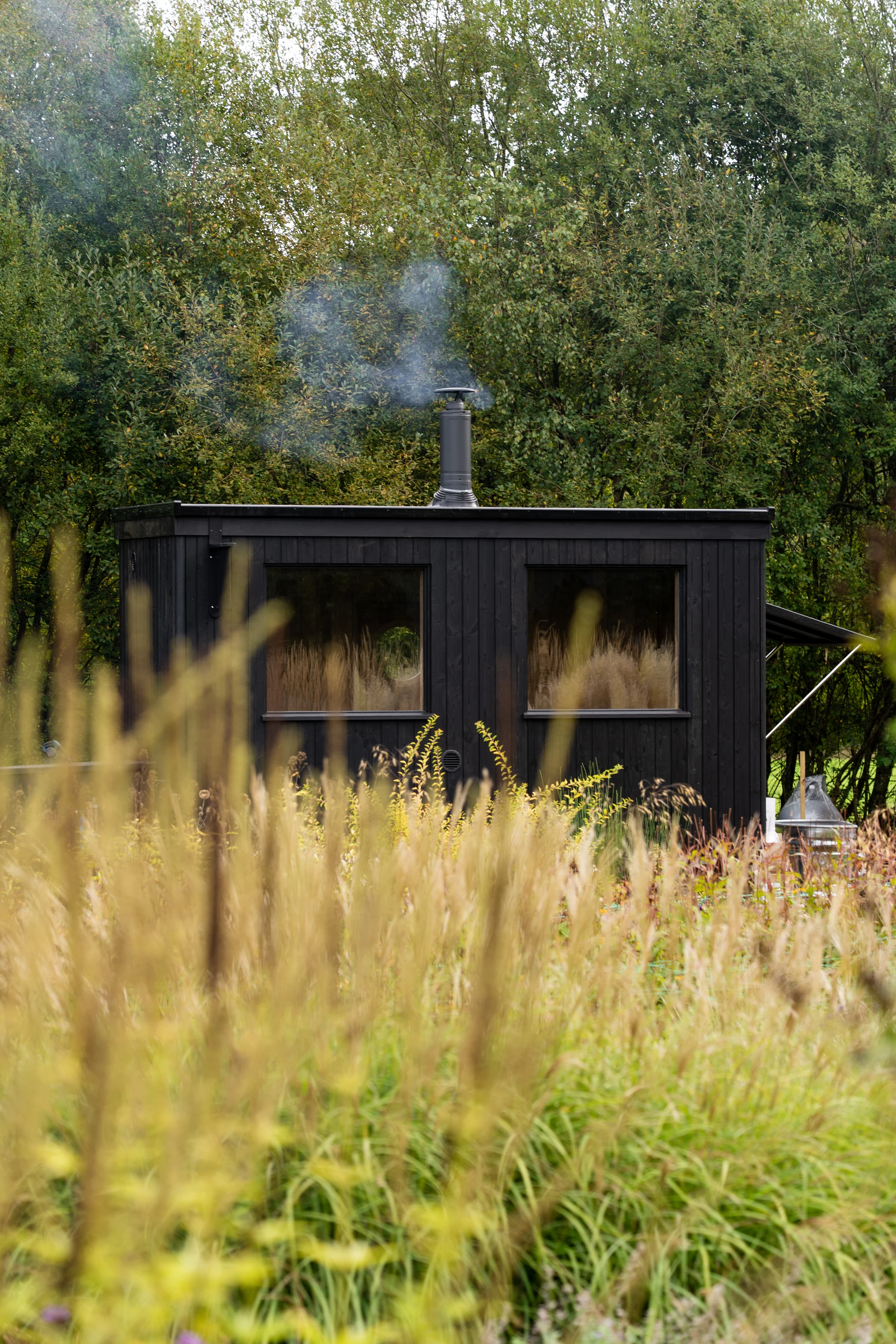 The dark timber sauna cabin behind tall meadow grasses, chimney smoke above