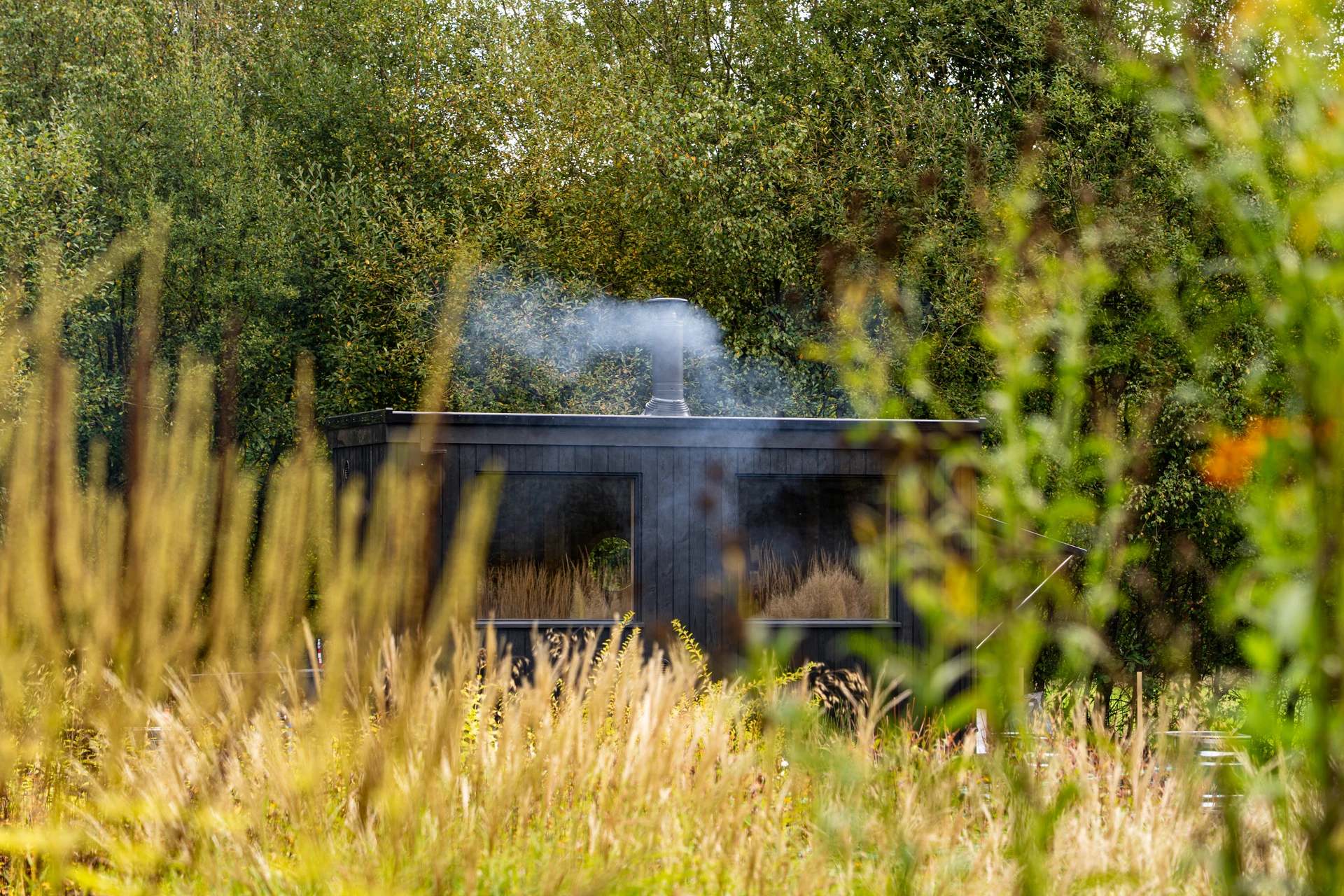 The dark timber sauna cabin among sunlit grasses and trees, smoke rising from its chimney